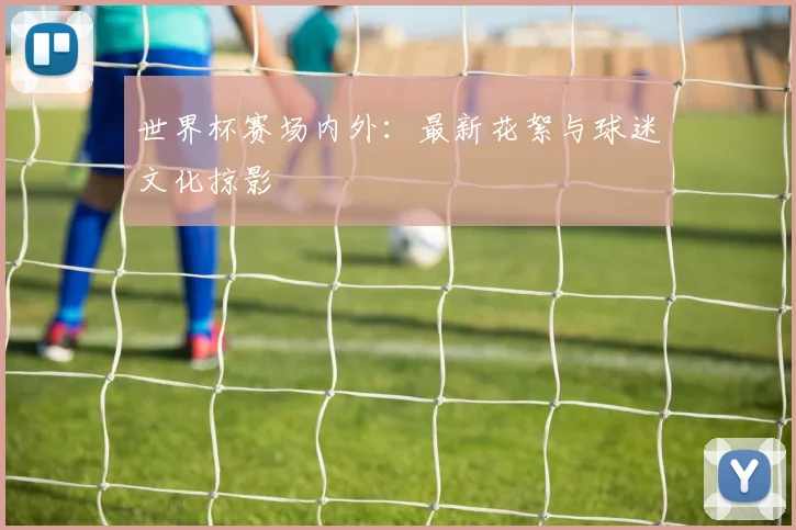 世界杯赛场内外：最新花絮与球迷文化掠影